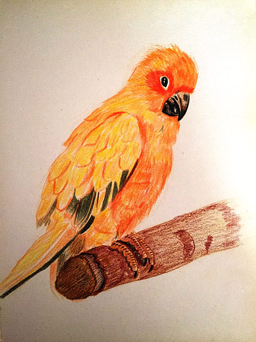 铅笔绘画练习|插画|创作习作|小g森林 - 原创作品 - 站酷 (zcool)