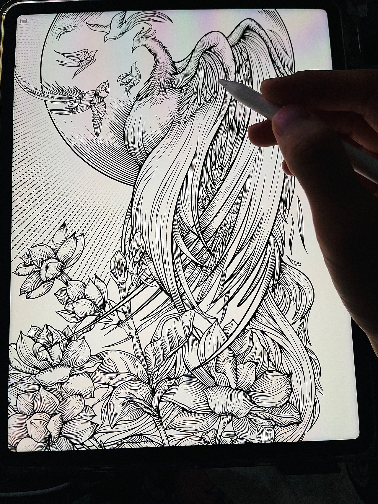 最近爆肝力作—百鸟朝凤茉莉茶包装插画！！！（图ZMzcyNzQ1NTE2） - 商业插画 - 站酷设计师孔令恺原创素材 - 站酷ZCOOL
