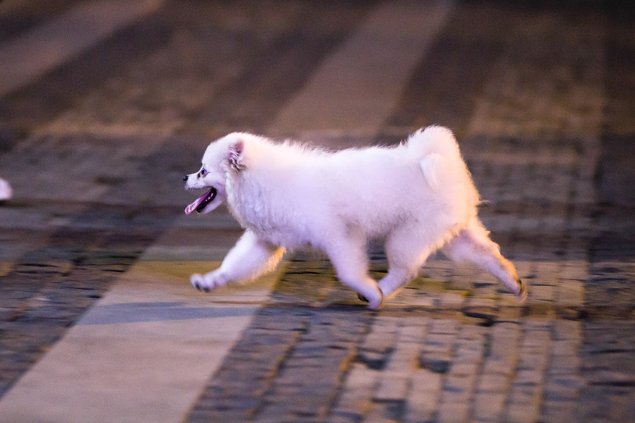 《夜游南京夫子庙》