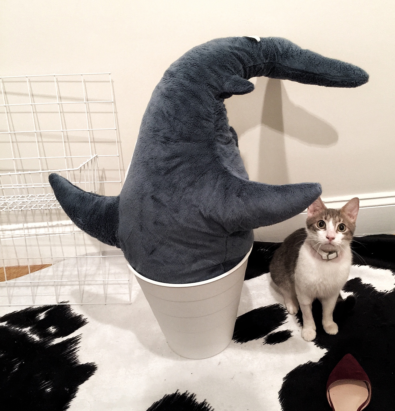 NEWYORK｜纽约手机记录