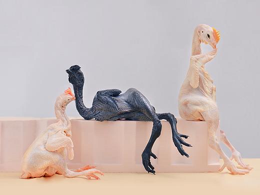 你，我，她的故事