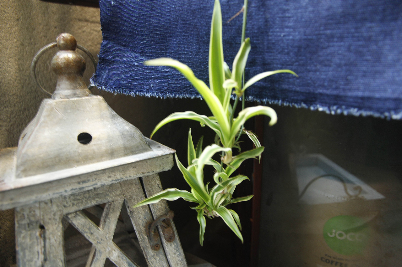 甜梦里的夬物食堂