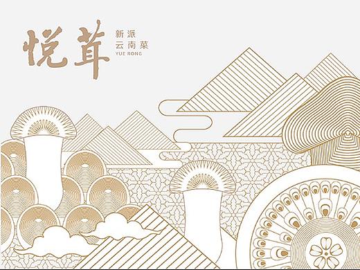 悦茸，云南本味，自然悦人