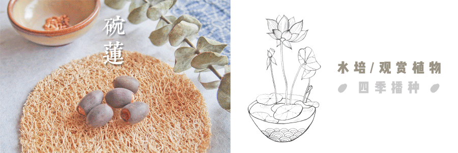 不止好物 2018创意新年礼盒 五谷丰登置物台历利是封（图ZOTcyMDMyODA=） - 宣传物料 - 站酷设计师crystalthink原创素材 - 站酷ZCOOL