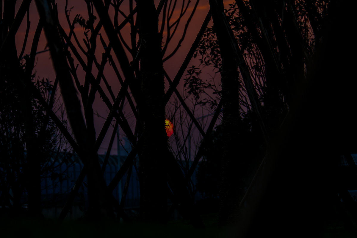 一支烟的功夫，太阳就落山了（图ZNjIwNDIwOTY=） - 风光摄影 - 站酷设计师阳先森原创素材 - 站酷ZCOOL