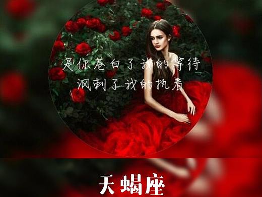 12星座 美女