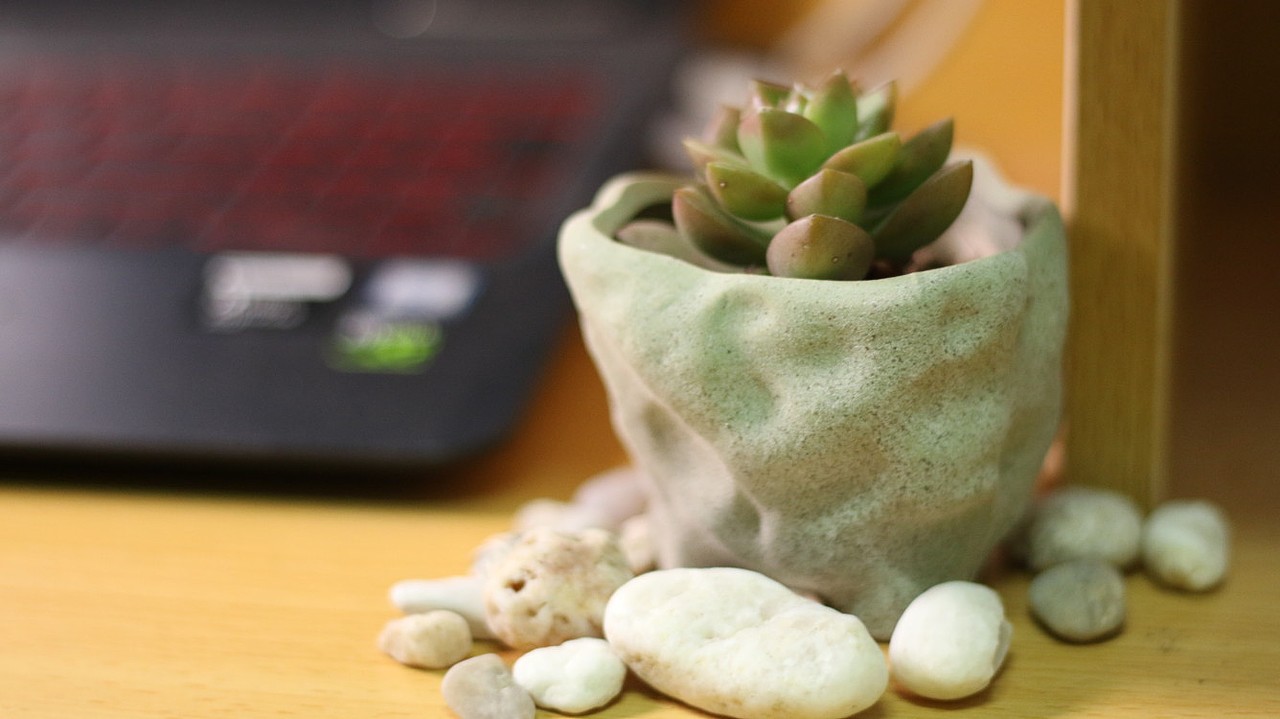 帮我看看有什么不好的地方 第一次学这个。不知道怎么拍