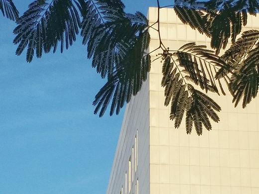 手机摄影©—夏之蓝（个人主页-ZMzYyNDU2MTY=） - 风光摄影 - 站酷设计师摄影师小朱原创素材 - 站酷ZCOOL