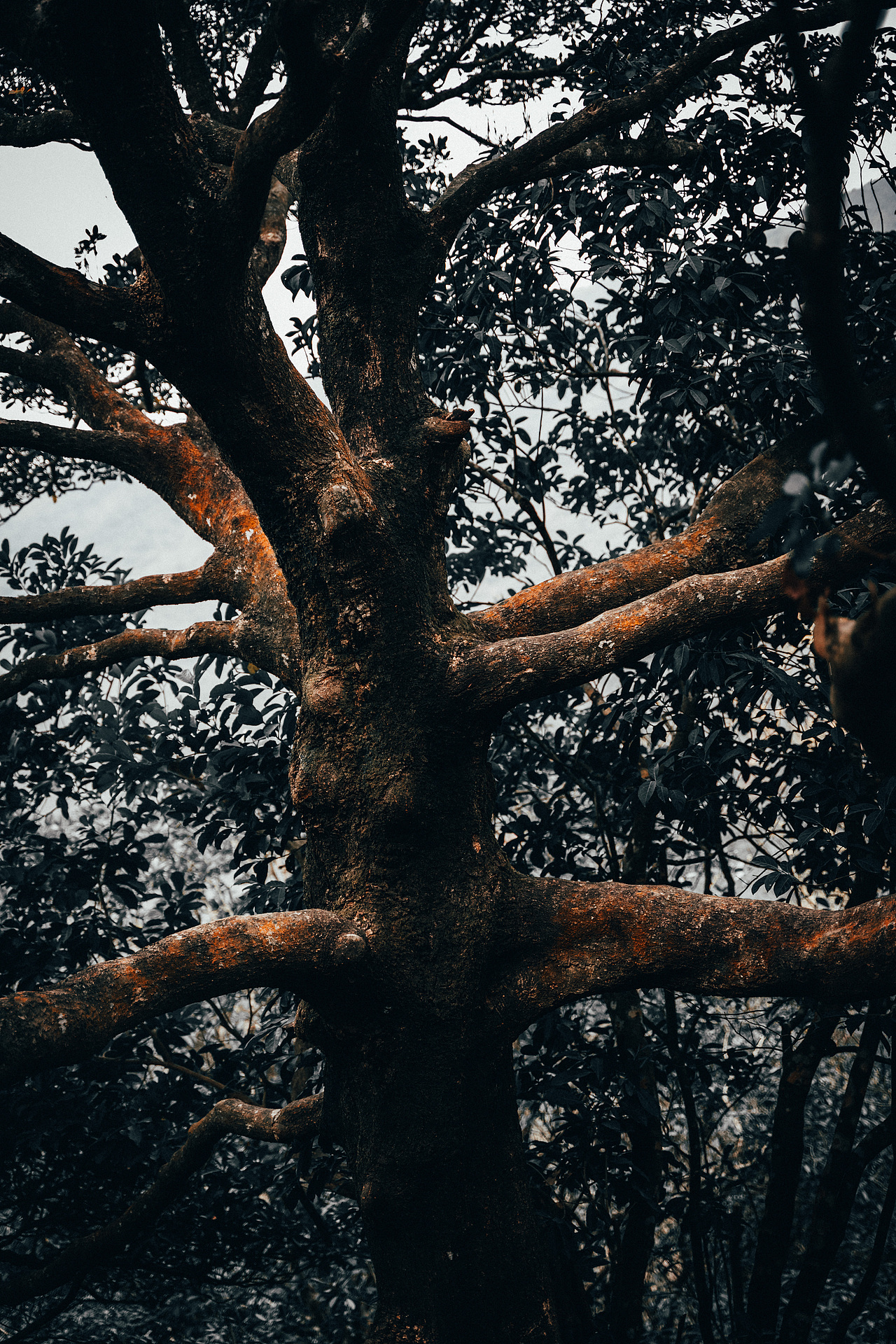 自己的路,自己欣赏。