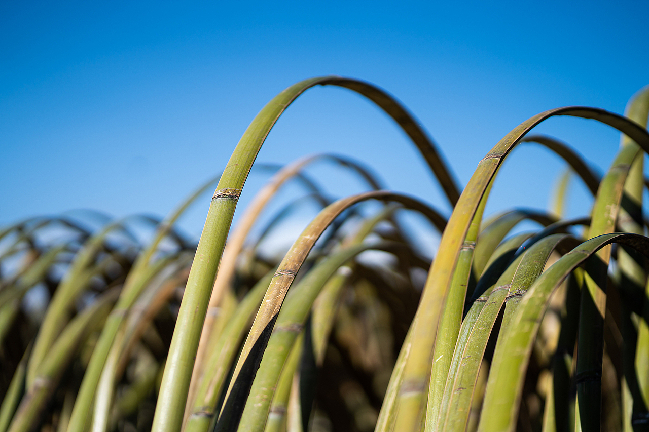 地景藝術《風的季節》（图ZMjQyNzQ2MTUy） - 实验艺术 - 站酷设计师林靖格原创素材 - 站酷ZCOOL