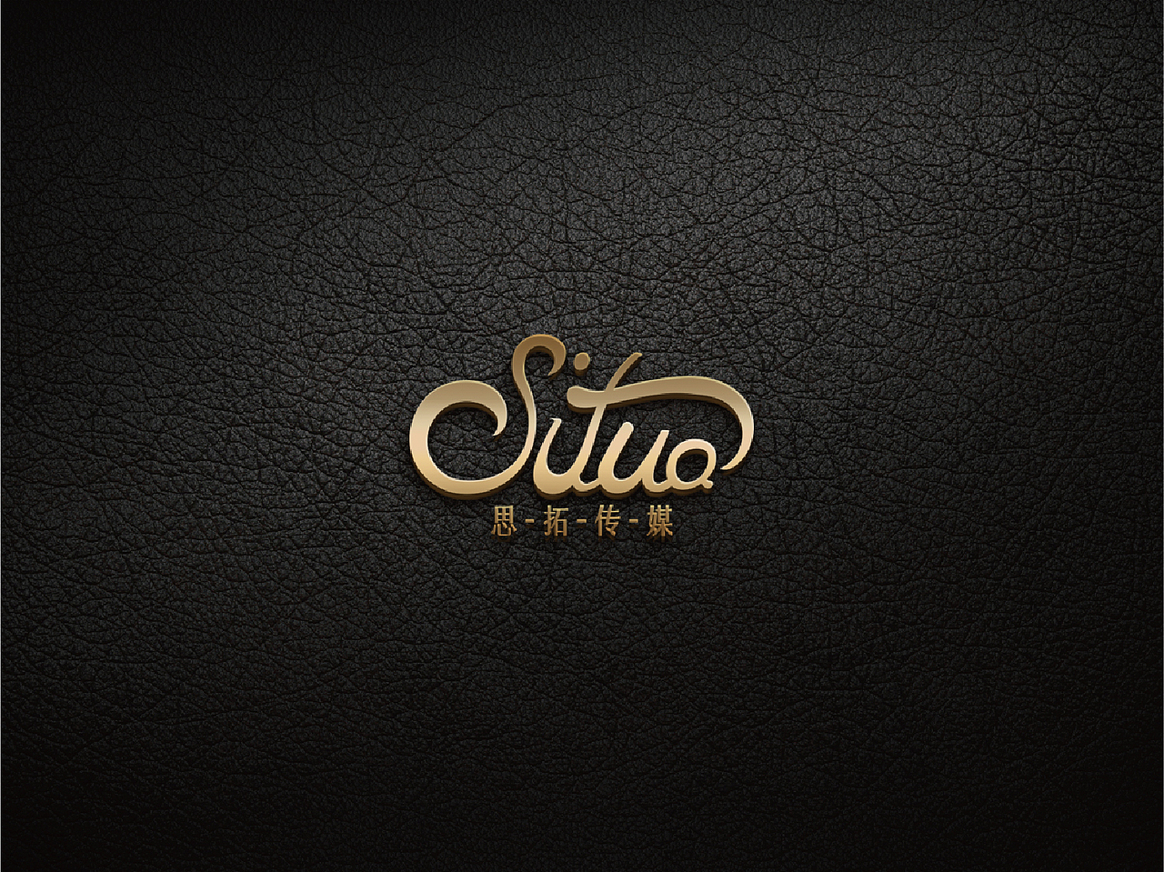 思拓传媒公司品牌设计