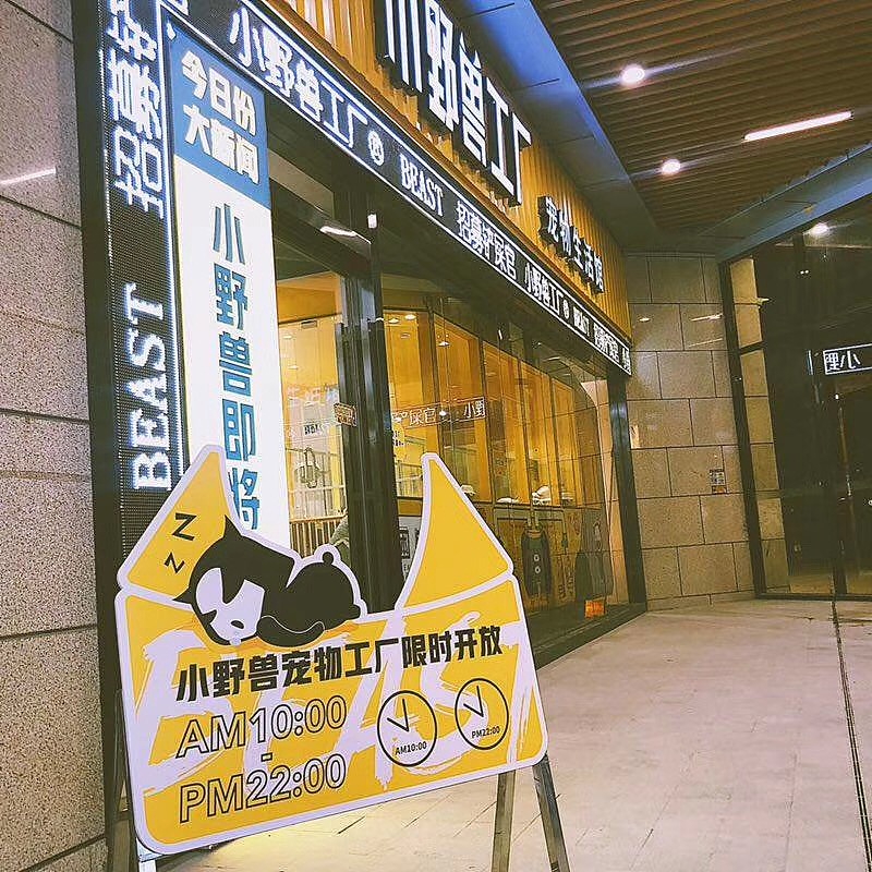 一个品牌的诞生一瓦力出品