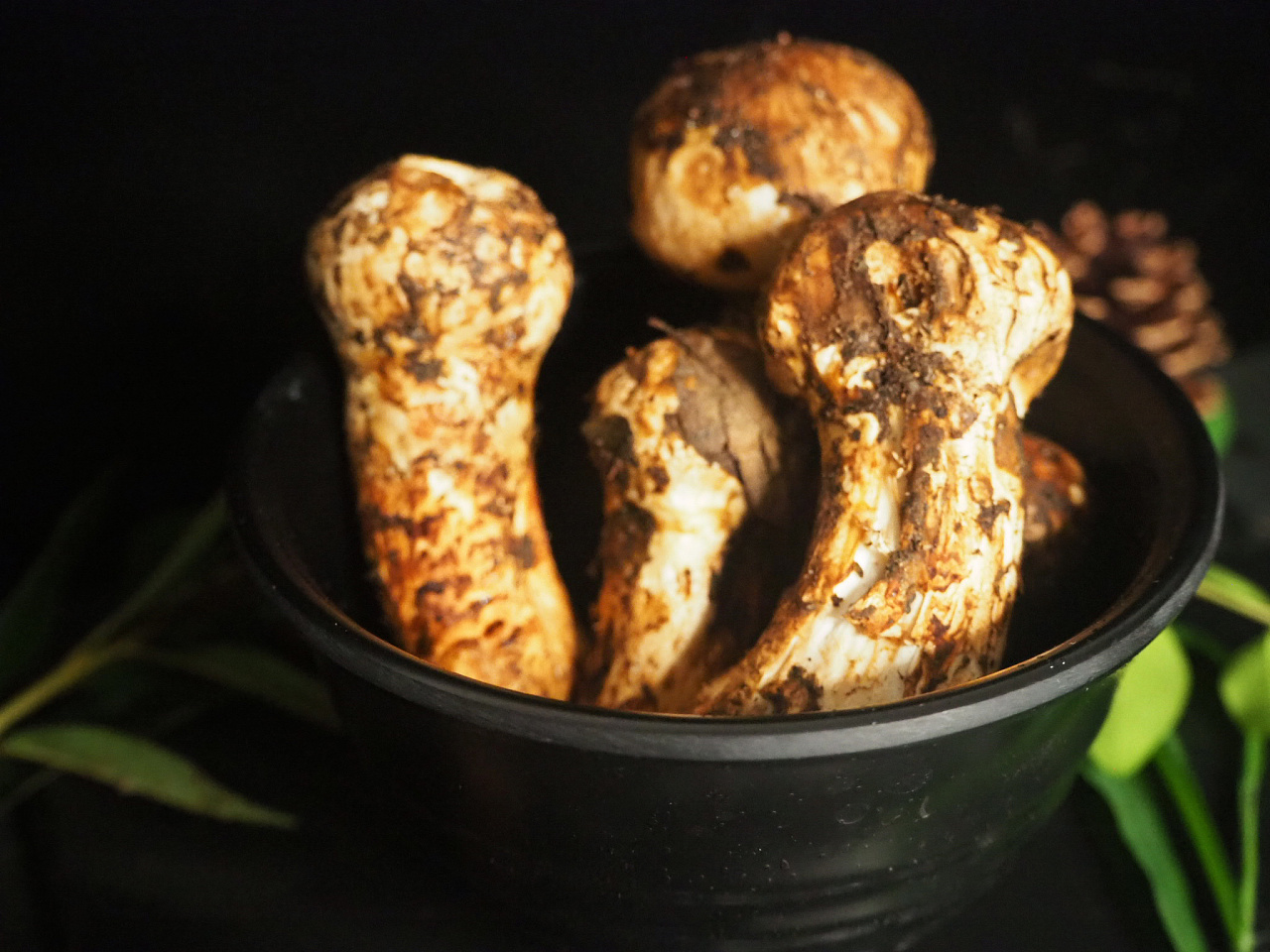 健粒宝禾/松茸预售产品拍摄