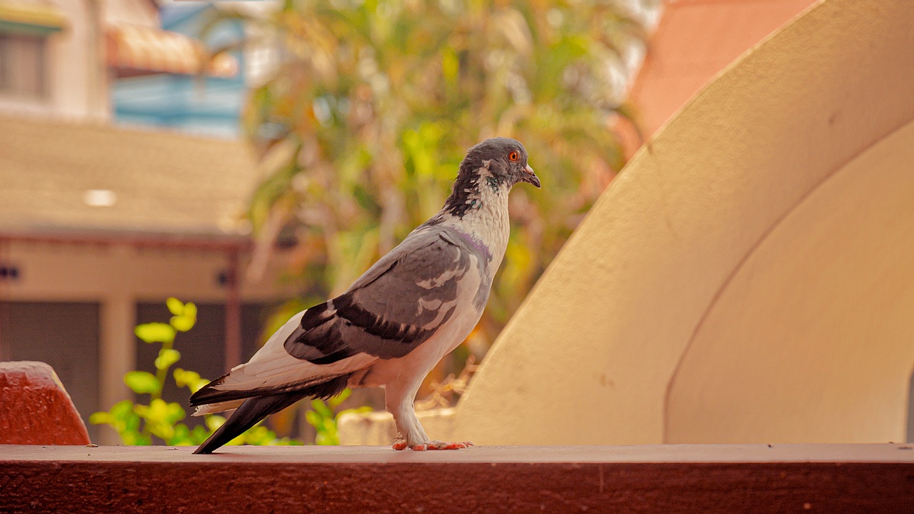 糖果色——（图ZMTg0NjM3NjQ0） - 人文/纪实摄影 - 站酷设计师列马革原创素材 - 站酷ZCOOL