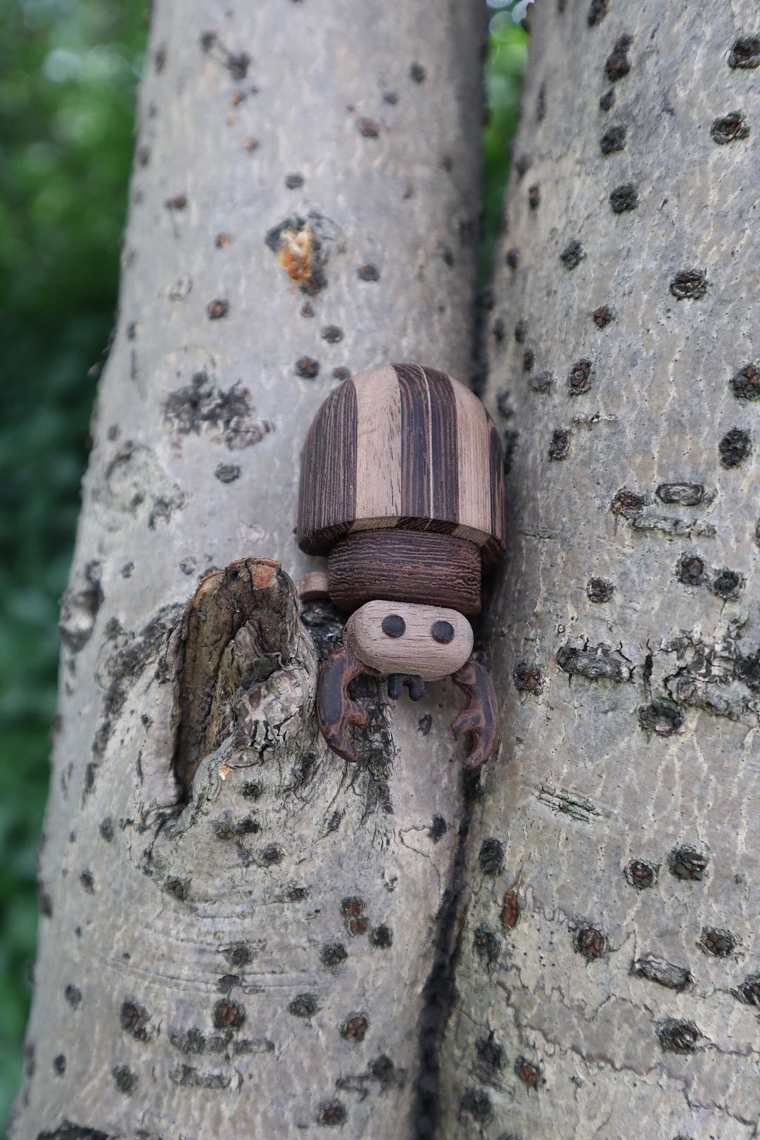 消失的昆虫们 Moil's handmade