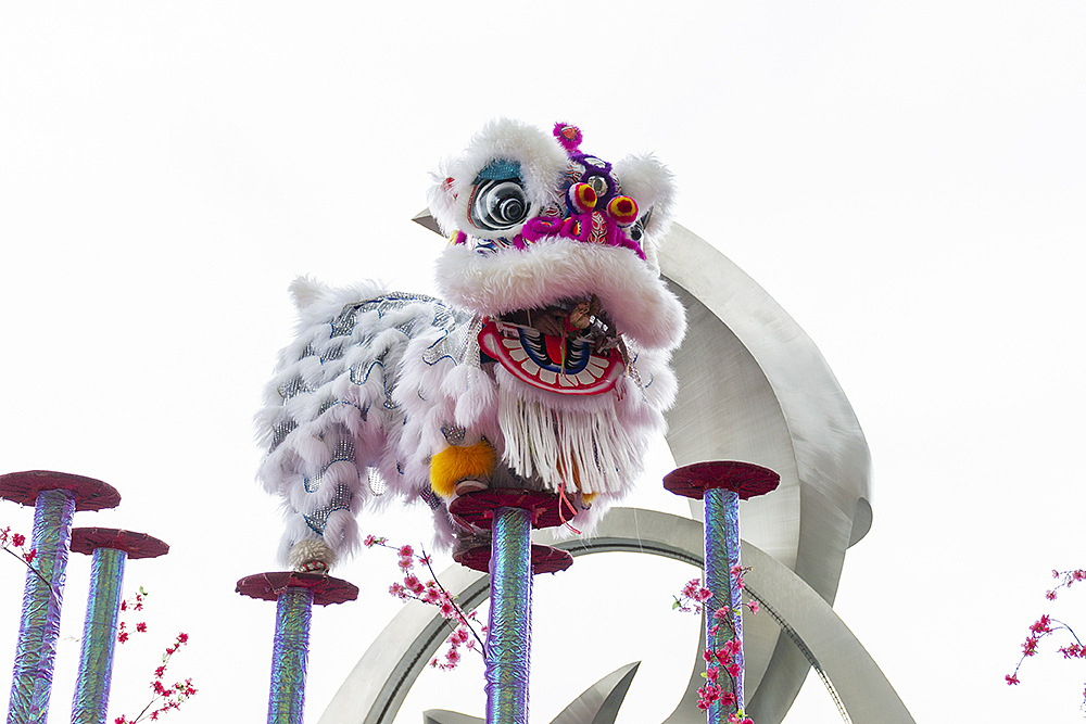 春节｜舞狮（图ZMjAwOTU1OTQ0） - 人文/纪实摄影 - 站酷设计师垃圾中的战斗机原创素材 - 站酷ZCOOL