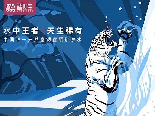 稀世宝品牌升级提案