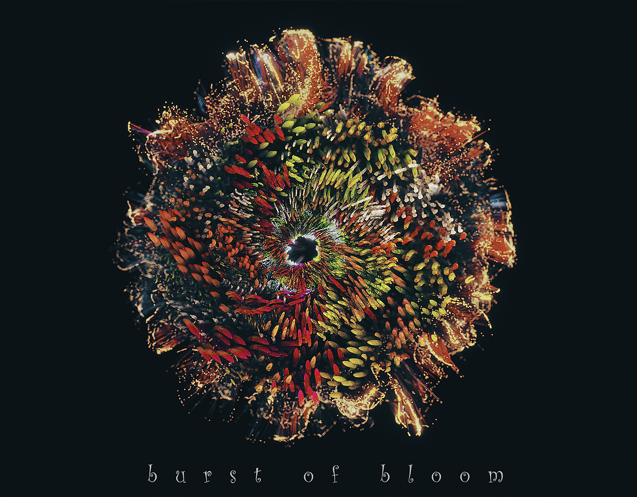 2019上半年个人创作总结