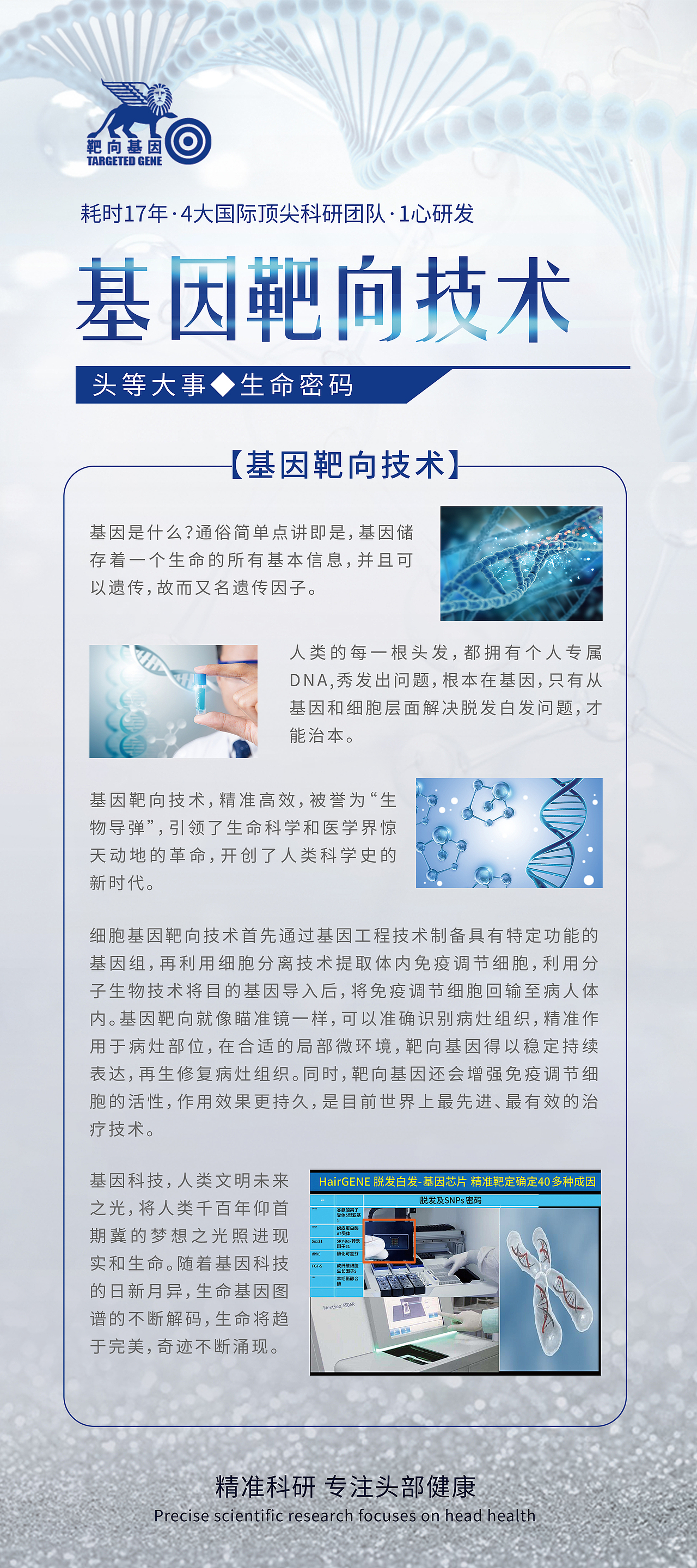 生发白转黑展架