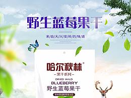 蓝莓干详情