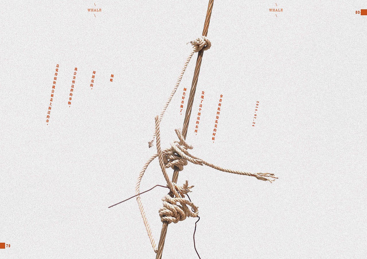 我眼中的所有 | 摄影/设计