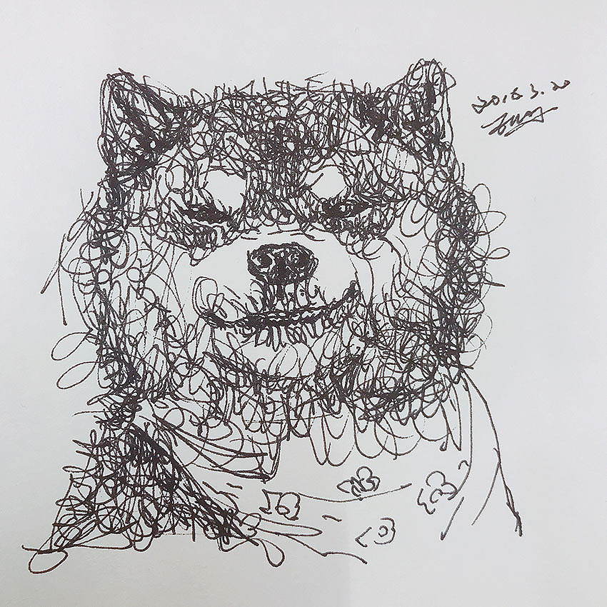 钢丝球画法萌萌的柴犬们1