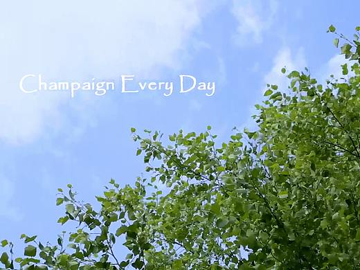 伊利诺伊大学宣传视频《Champaign Everyday》 