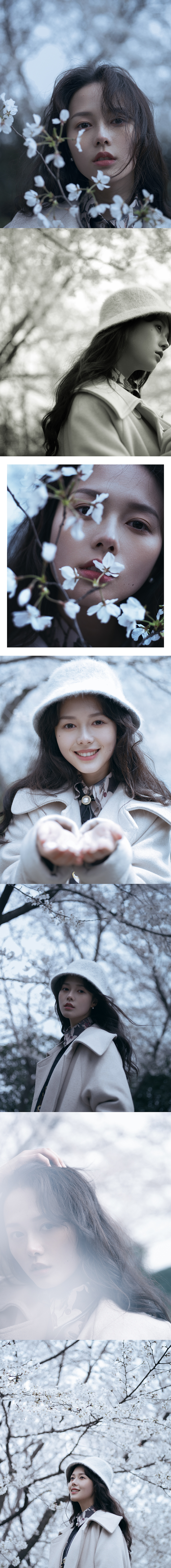 樱花飘落时（图ZMTEzOTU4MTYw） - 人像摄影 - 站酷设计师暴暴蓝原创素材 - 站酷ZCOOL