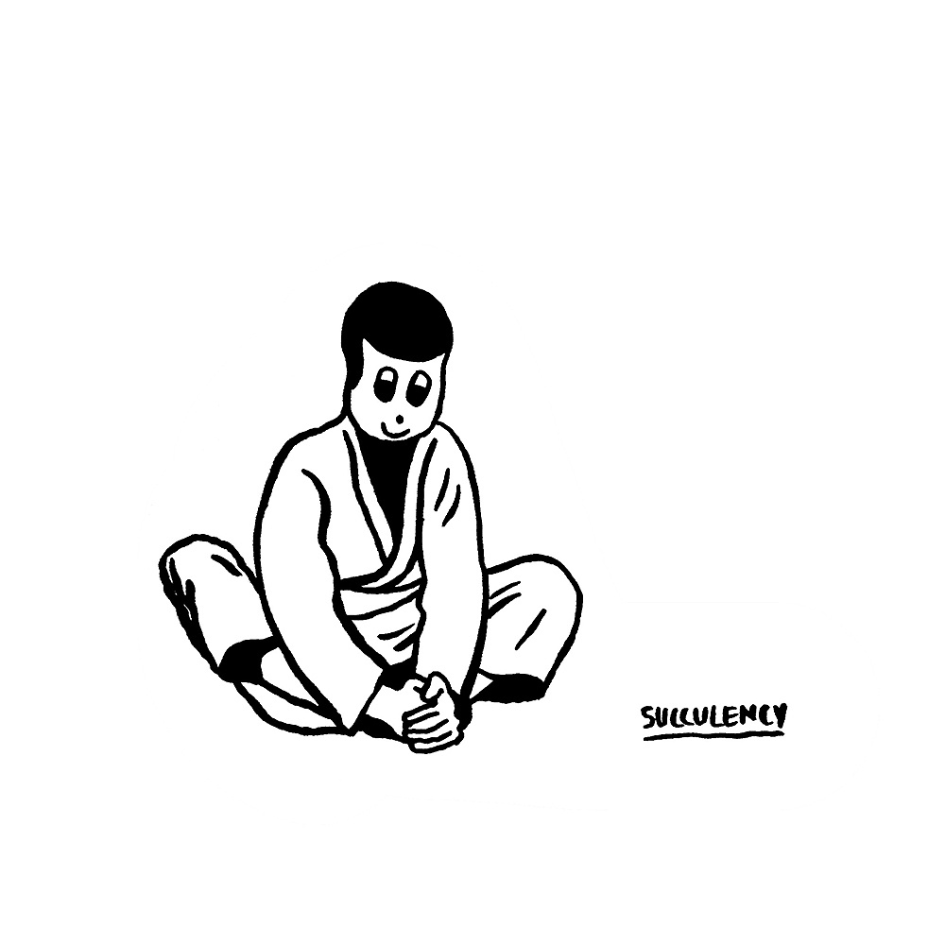 你知道巴西柔术吗nicetorollyou