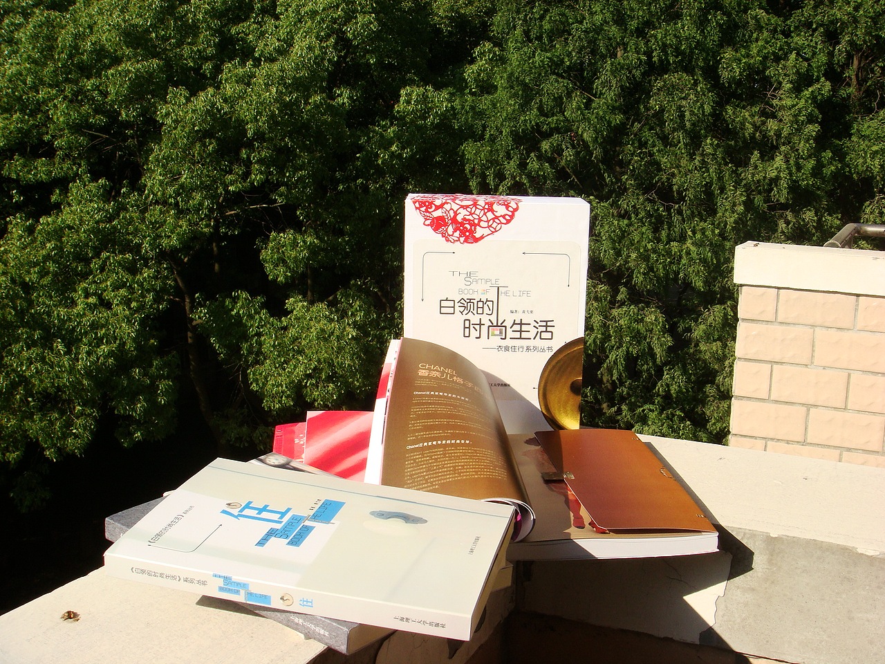 毕业设计,衣食住行(我突然没有信心了)