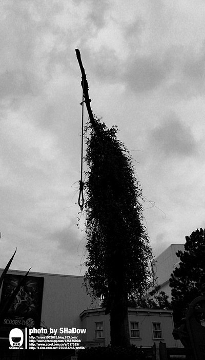 Australia&New Zealand5（图ZMjMxMzA3Mg==） - 风光摄影 - 站酷设计师shadowcby原创素材 - 站酷ZCOOL