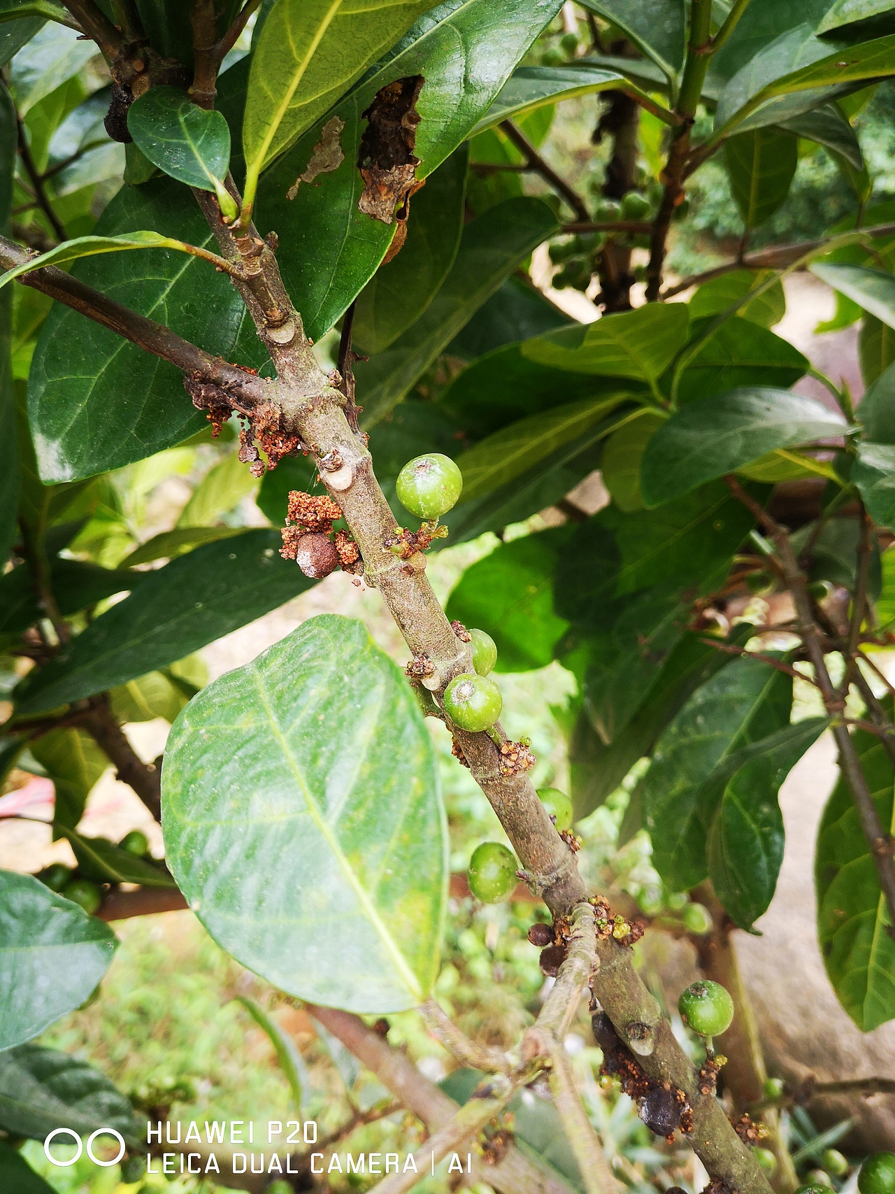 地质公园随拍（图ZMTQ0MDEzNDg4） - 风光摄影 - 站酷设计师叫我张胖子原创素材 - 站酷ZCOOL