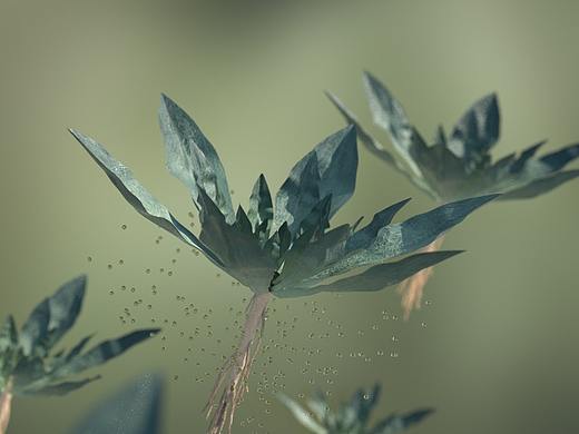 板蓝根精华内裤