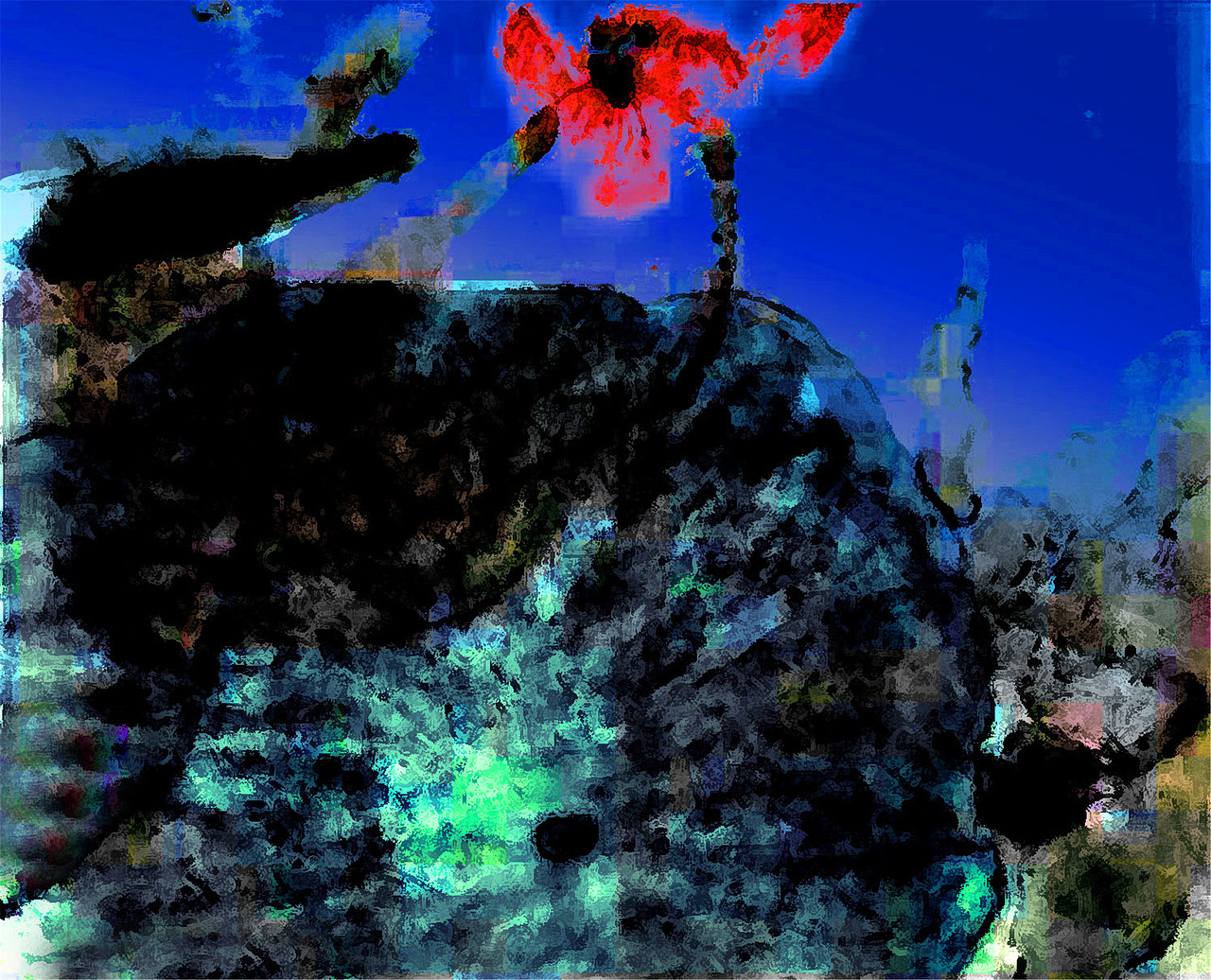 刘勇良残荷系列数码作品选登