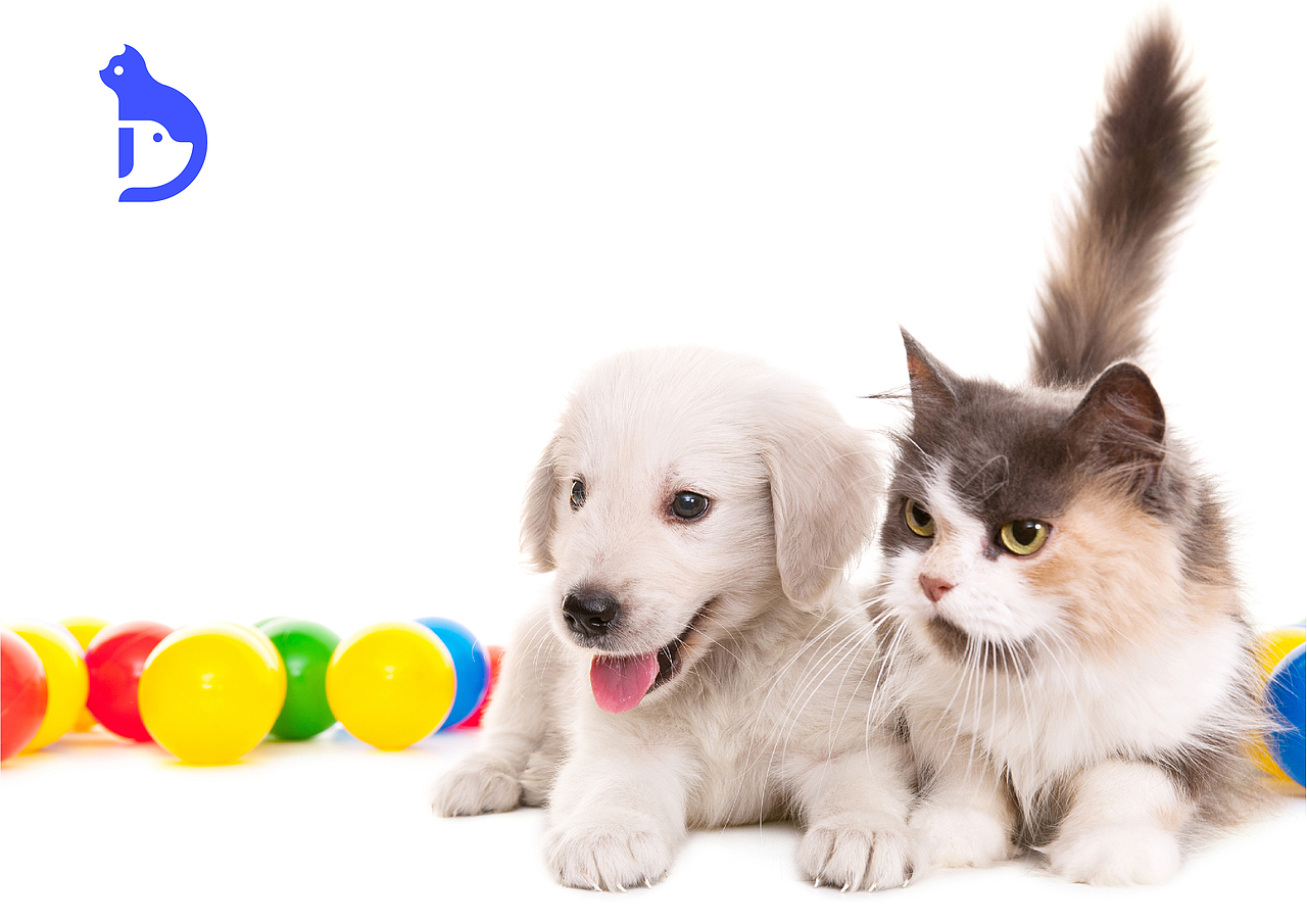 彼一叻品牌包装设计（图ZMjQ2NTg0MzY0） - 品牌 - 站酷设计师国昊原创素材 - 站酷ZCOOL