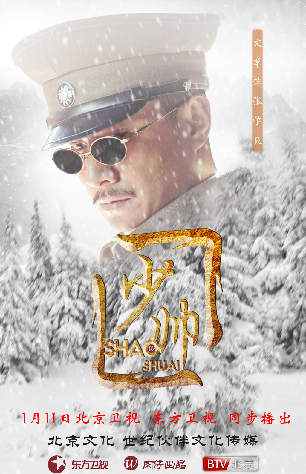 电视剧少帅海报飞机稿