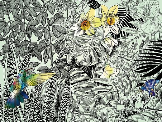 个人作品集-插画(3)