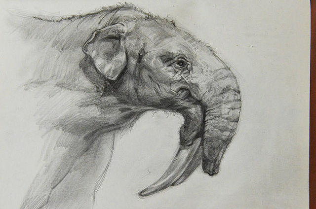 平常的一些手绘稿（图ZNTU4NTA4MDg=） - 创作习作 - 站酷设计师名字不够酷炫哦原创素材 - 站酷ZCOOL