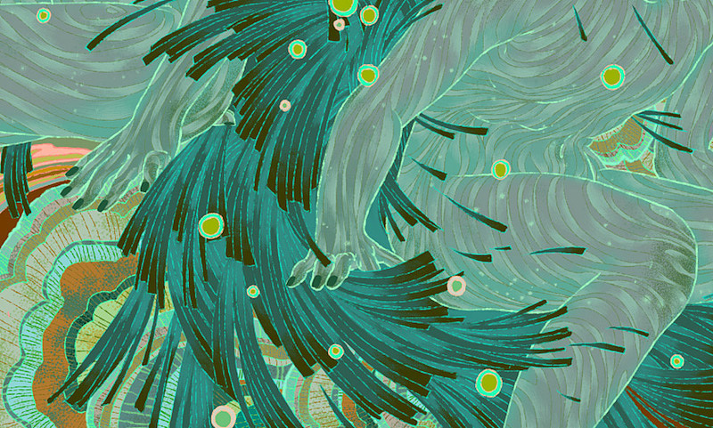 插画|局|，附详细绘制过程