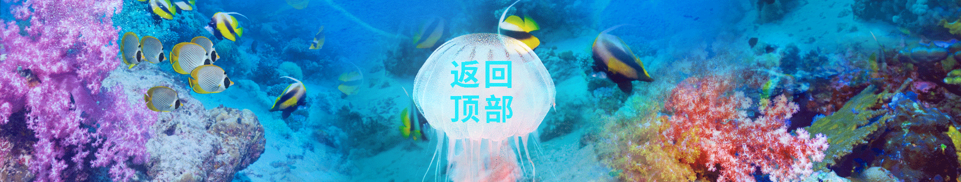夏季清凉节（图ZODc4NjEzNjg=） - 企业官网 - 站酷设计师兰伯格原创素材 - 站酷ZCOOL