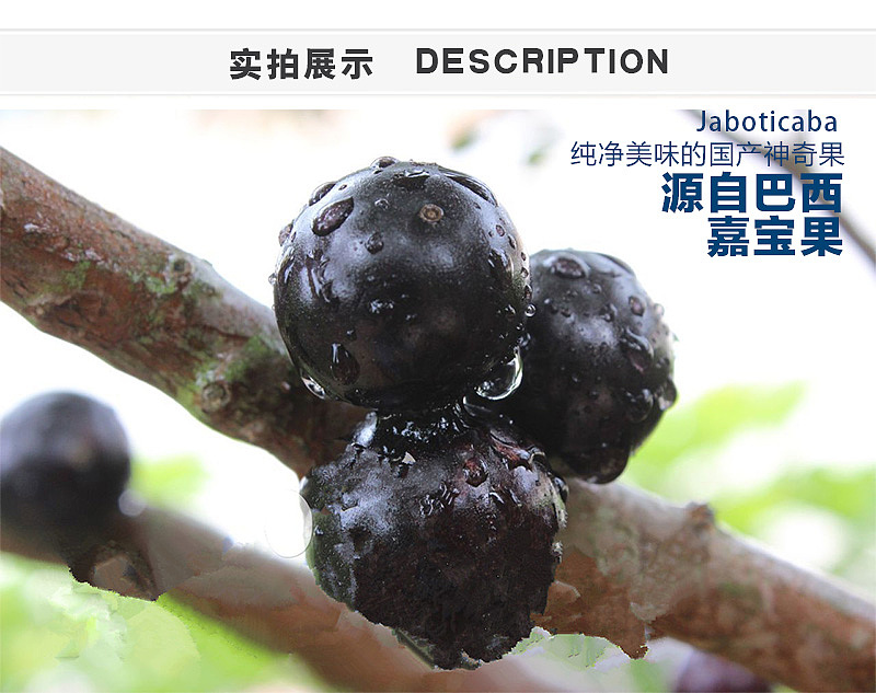 详情页（图ZNzMwMTg0MDQ=） - 信息图表 - 站酷设计师ouyang墨墨原创素材 - 站酷ZCOOL