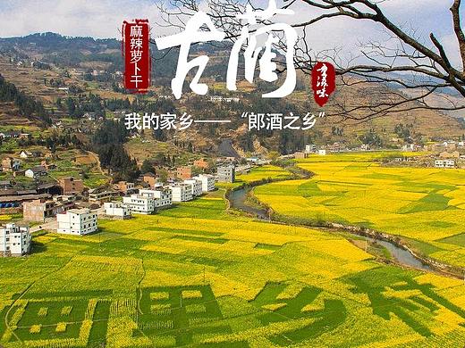 四川特产古蔺萝卜干美食淘宝详情页