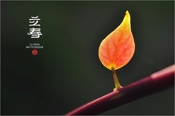 二十四节气字体设计——余尤勇出品（图ZMTI5MDgyNDA=） - 字体/字形 - 站酷设计师余尤勇原创素材 - 站酷ZCOOL