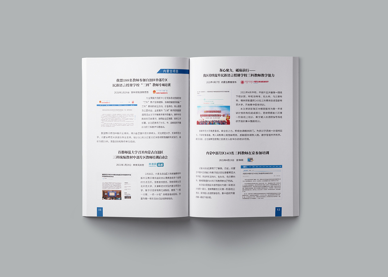 纯文字手册（图ZMjc0MDYwMzE2） - 书籍/画册 - 站酷设计师Capricorn万原创素材 - 站酷ZCOOL