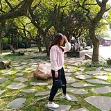 大脑壳LT的头像