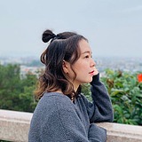 蜉蝣forU的头像