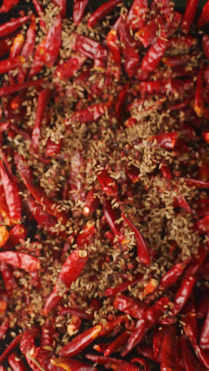 皓皓牛肉粒✖典韬摄影