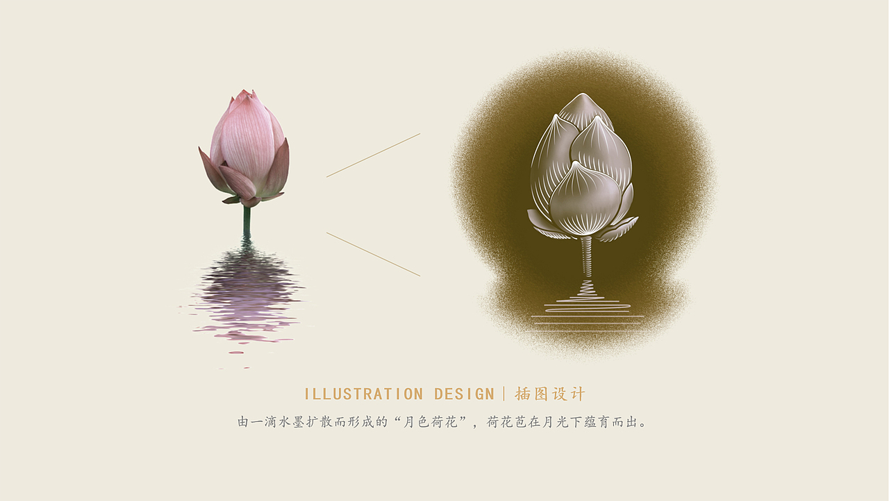 小荷花酒包装设计