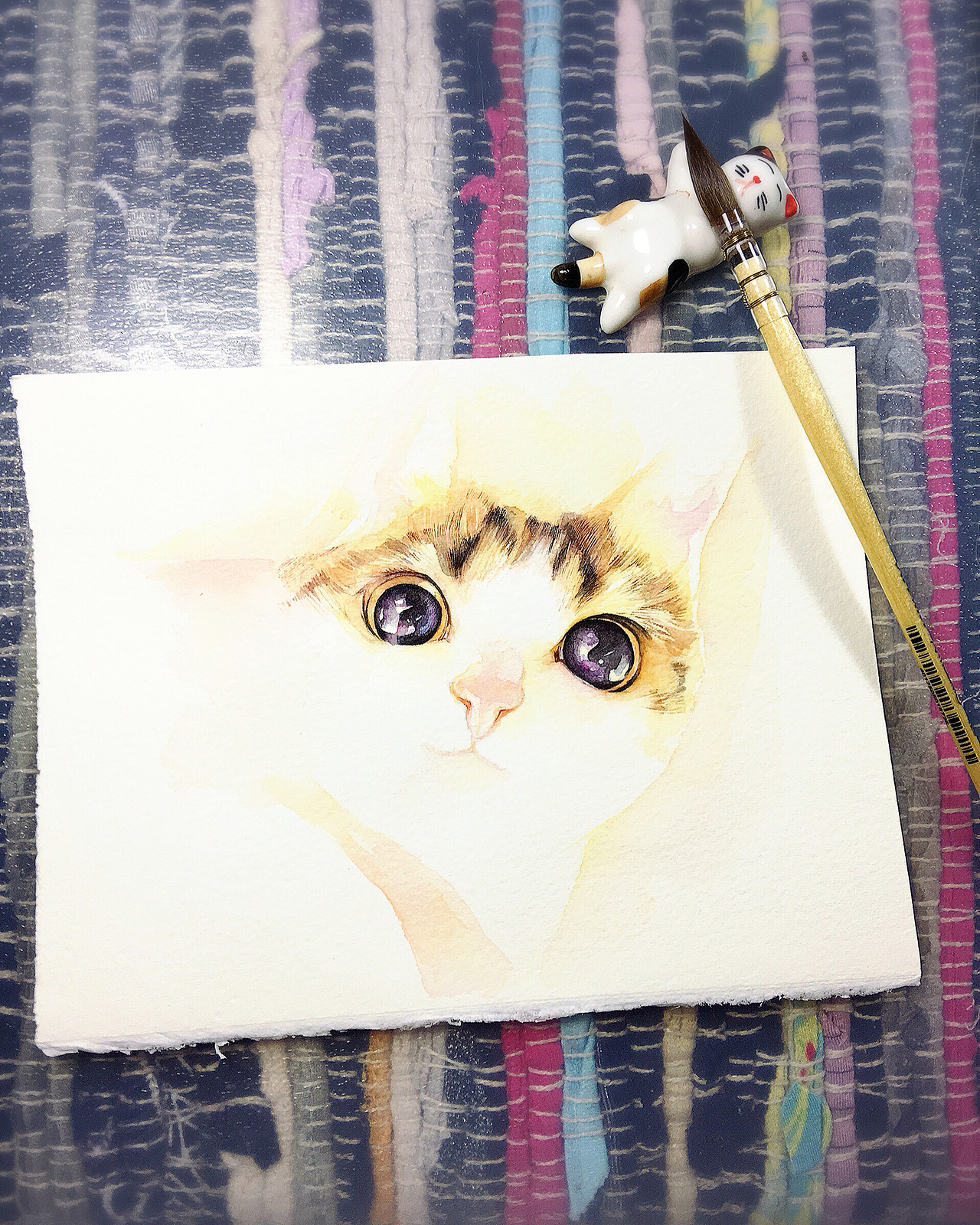 一只喵酱得过程