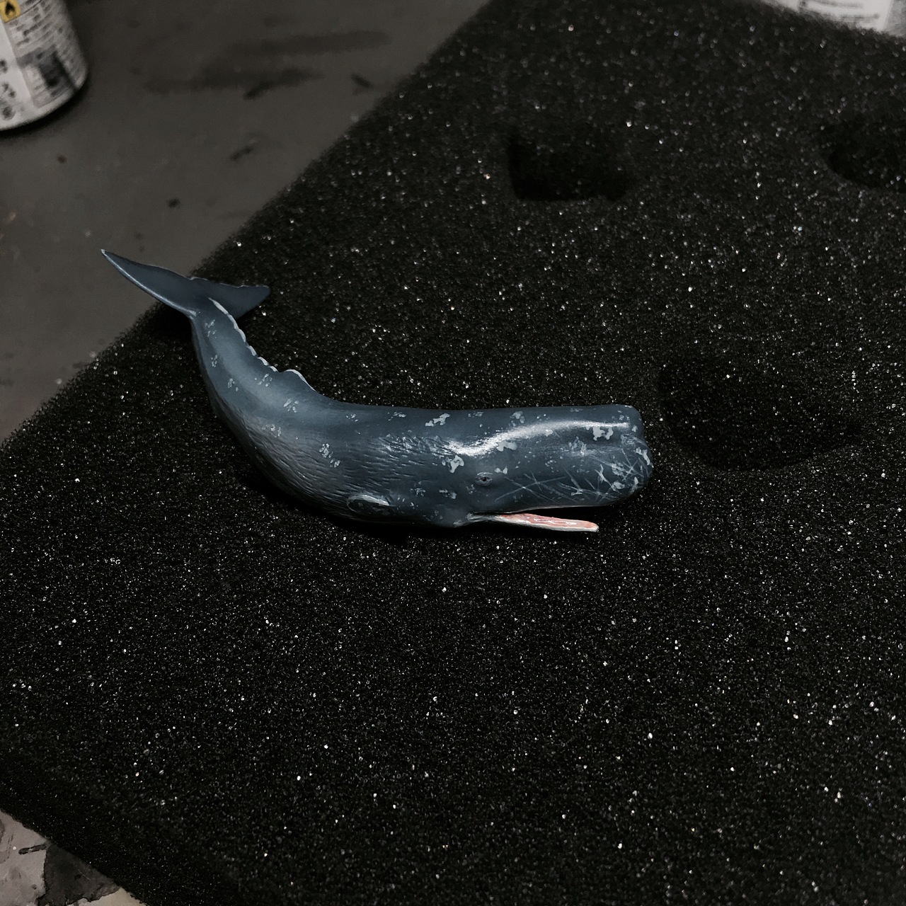 抹香鲸大战鱿鱼